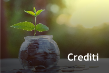 Area Crediti